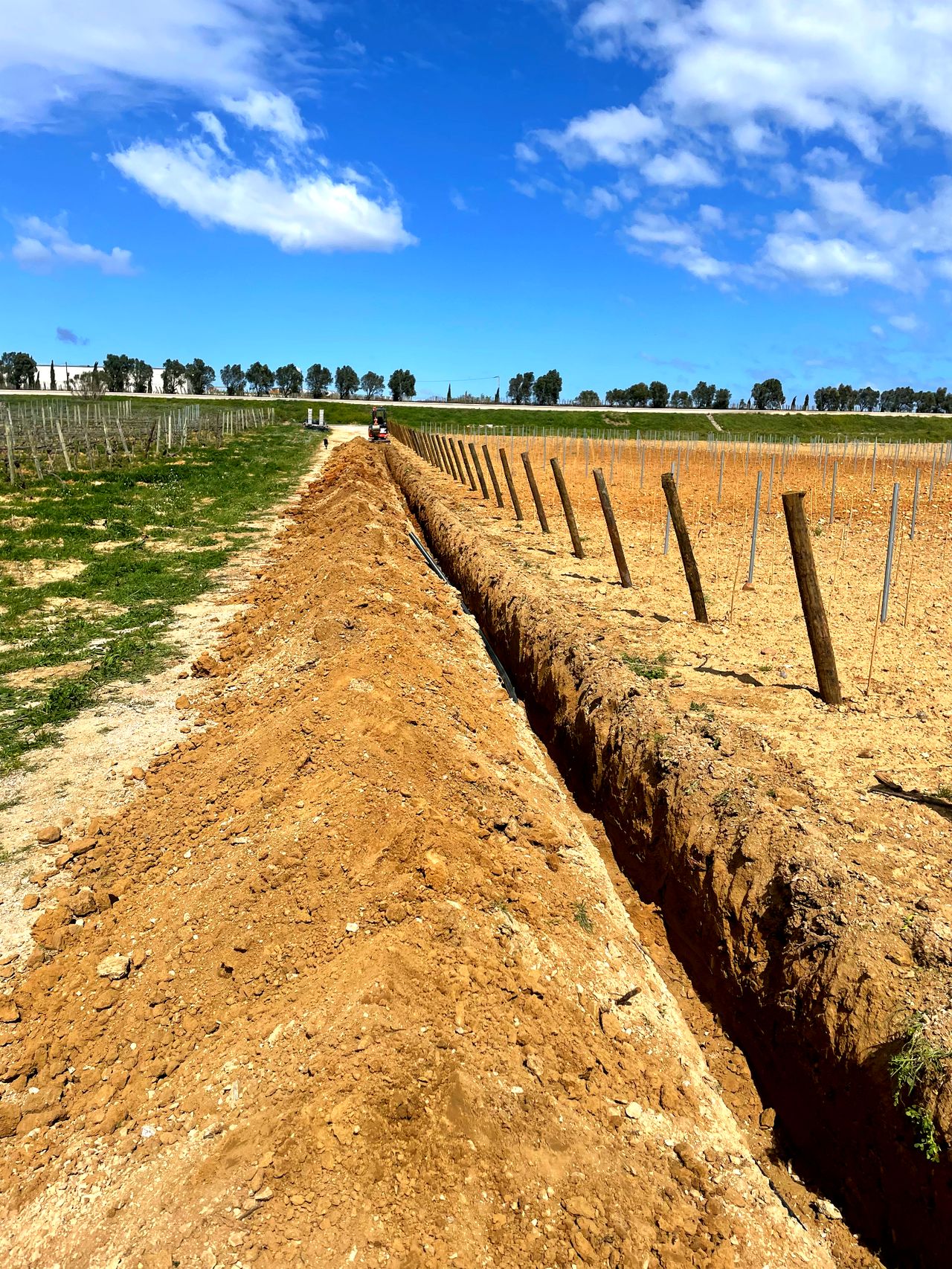 Système d'irrigation